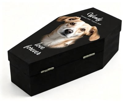 Pet Keepsake Casket pet memorial product