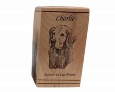 Engraved Portrait Urn pet memorial product